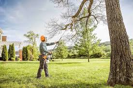 Best Commercial Tree Services  in Blackwells Mills, NJ