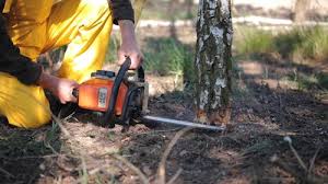 Best Soil Testing and Treatment  in Blackwells Mills, NJ